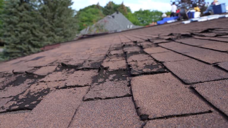 Best Roof Coating and Sealing  in Potosi, TX