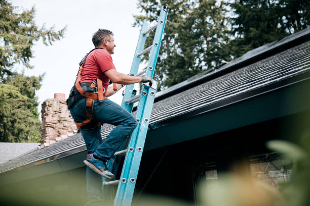 Best Cold Roofs  in Potosi, TX