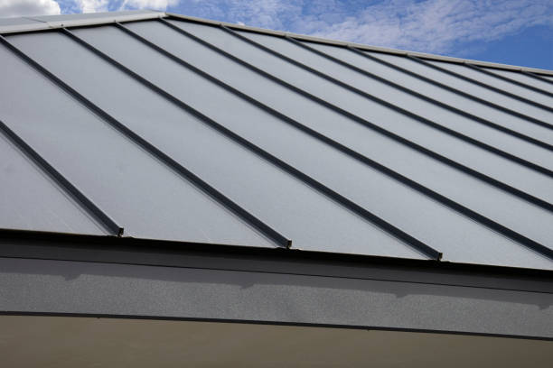 Best Gutter Installation and Repair  in Potosi, TX
