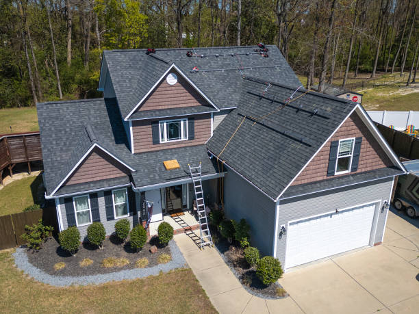 Best Roof Moss and Algae Removal  in Potosi, TX
