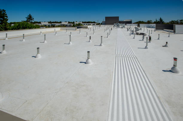 Best Asphalt Shingle Roofing  in Potosi, TX